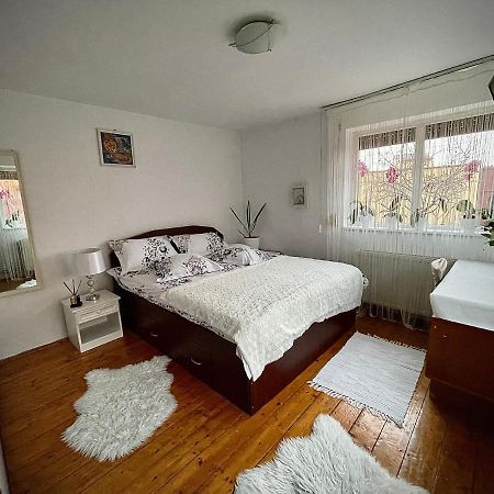 Ada-Ini House Villa Craiova Luaran gambar